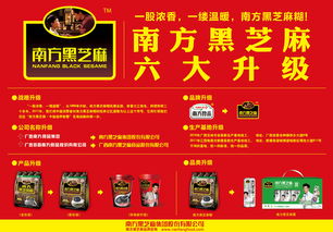 跨界之光 從設計到軟件開發的學習之旅